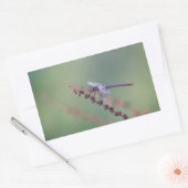 Roseate Skimmer Dragonfly Rechthoekige Sticker (Envelop)