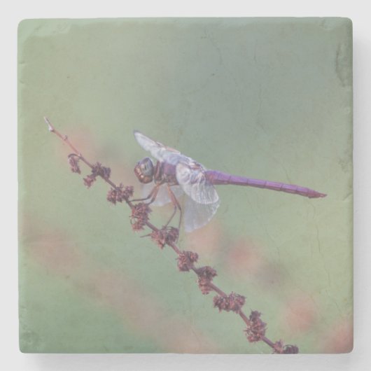Roseate skimmer dragonfly stenen onderzetter (Voorkant)