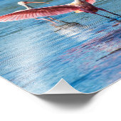 Roseate Spoonbill 10 x 8 Kodak Pro Foto Foto Afdruk (Hoek)