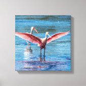 Roseate Spoonbill 12 x 12 inch Wrapped Canvas (Voorkant)