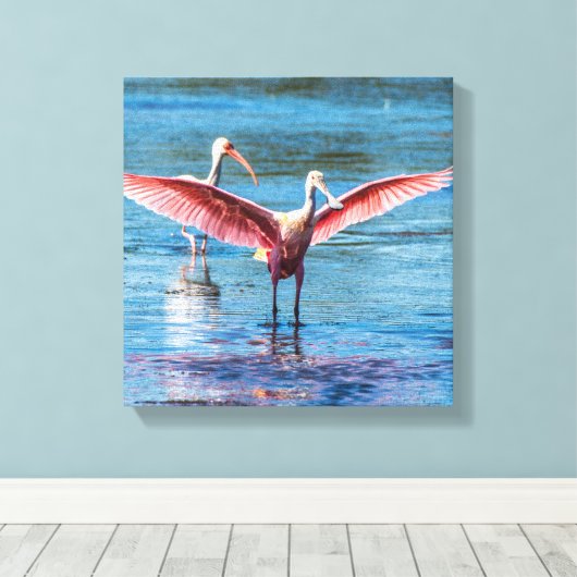 Roseate Spoonbill 12 x 12 inch Wrapped Canvas (Insitu (Houten vloer))