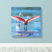 Roseate Spoonbill 12 x 12 inch Wrapped Canvas Afdruk (Insitu (Houten vloer))