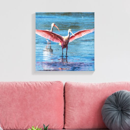 Roseate Spoonbill 12 x 12 inch Wrapped Canvas Afdruk (Insitu (Woonkamer))