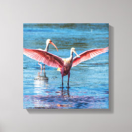 Roseate Spoonbill 12 x 12 inch Wrapped Canvas Afdruk