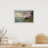 Roseate Spoonbill, 1836 Print (Keuken)
