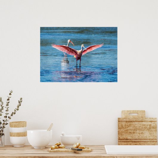 Roseate Spoonbill 28 x 20 archivering Zware papier Poster (Keuken)