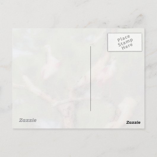 Roseate Spoonbill (3050) Briefkaart (Achterkant)