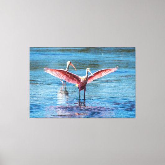 ROSEATE SPOONBILL 60 X 40 WRAPPED CANVAS PRINT (Voorkant)