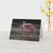 Roseate Spoonbill, Ajaia ajaja, Ding Darling Kaart (Gele Bloem)