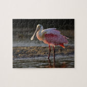 Roseate Spoonbill, Ajaia ajaja, Ding Darling Legpuzzel (Horizontaal)