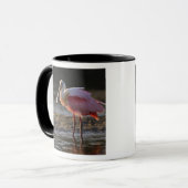 Roseate Spoonbill, Ajaia ajaja, Ding Darling Mok (Voorkant links)