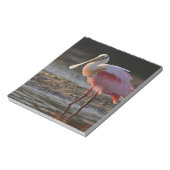 Roseate Spoonbill, Ajaia ajaja, Ding Darling Notitieblok (Linkerzijde)