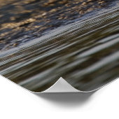 Roseate Spoonbill, Ajaia ajaja, Ding Darling Poster (Hoek)