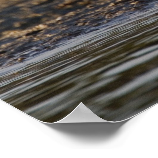 Roseate Spoonbill, Ajaia ajaja, Ding Darling Poster (Hoek)