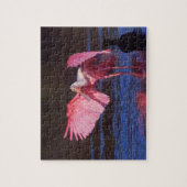 Roseate Spoonbill (Ajaia ajaja) met aalscholver Legpuzzel (Verticaal)