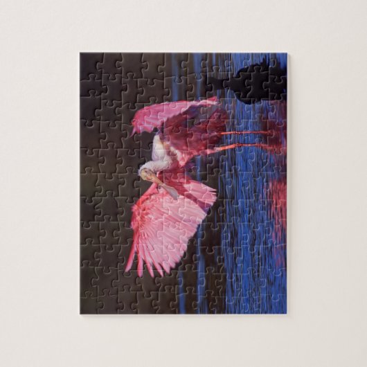 Roseate Spoonbill (Ajaia ajaja) met aalscholver Legpuzzel (Verticaal)