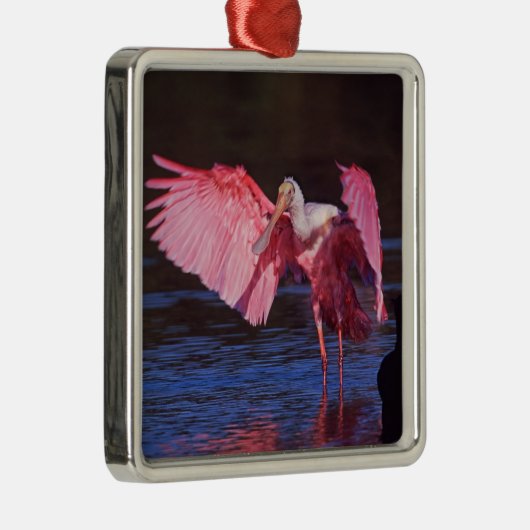 Roseate Spoonbill (Ajaia ajaja) met aalscholver Metalen Ornament (Rechts)