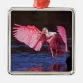 Roseate Spoonbill (Ajaia ajaja) met aalscholver Metalen Ornament (Voorkant)