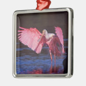 Roseate Spoonbill (Ajaia ajaja) met aalscholver Metalen Ornament (Links)