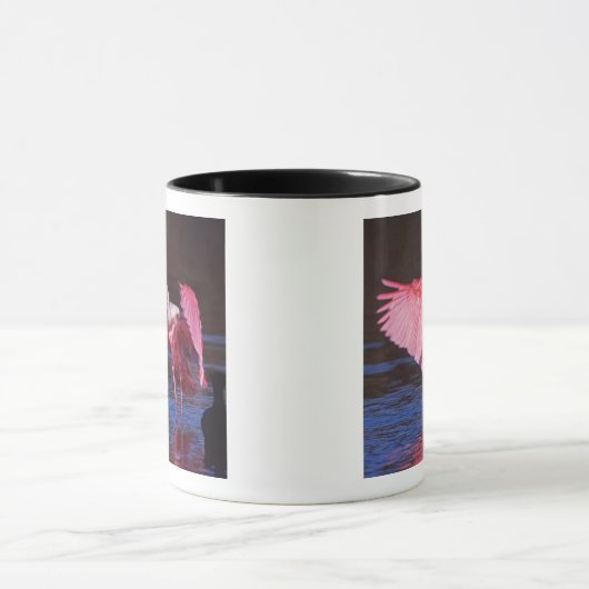 Roseate Spoonbill (Ajaia ajaja) met aalscholver Mok (Midden)