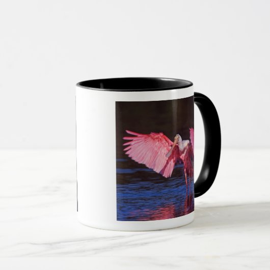 Roseate Spoonbill (Ajaia ajaja) met aalscholver Mok (Voorkant rechts)