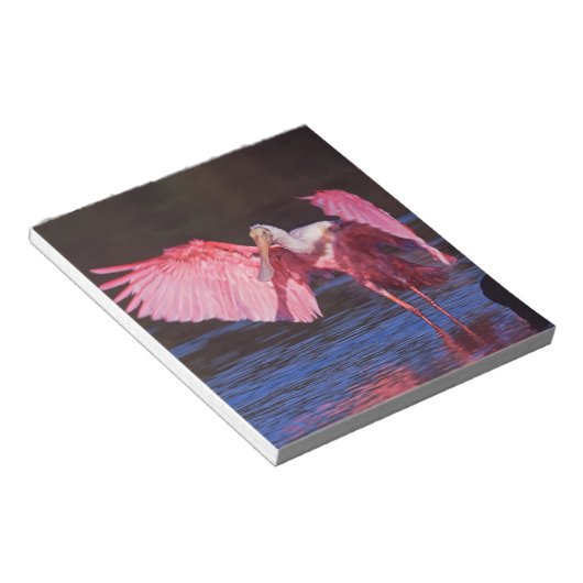 Roseate Spoonbill (Ajaia ajaja) met aalscholver Notitieblok (Schuin)