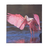 Roseate Spoonbill (Ajaia ajaja) met aalscholver Notitieblok (Voorkant)