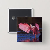 Roseate Spoonbill (Ajaia ajaja) met aalscholver Vierkante Button 5,1 Cm (Voorkant /achterkant)