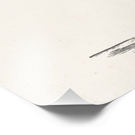  Roseate Spoonbill Antiek Sjabloon van vogel Foto Afdruk (Hoek)