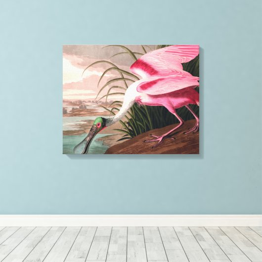 Roseate Spoonbill Audubon Bird Wildlife Canvas Afdruk (Insitu (Houten vloer))