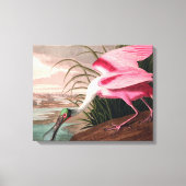 Roseate Spoonbill Audubon Bird Wildlife Canvas Afdruk (Voorkant)