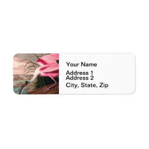 Roseate Spoonbill Audubon Bird Wildlife Etiket