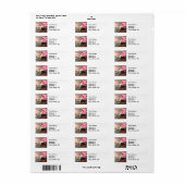 Roseate Spoonbill Audubon Bird Wildlife Etiket (Full Sheet)