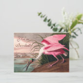 Roseate Spoonbill Audubon Bird Wildlife Kaart (Staand voorkant)