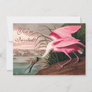 Roseate Spoonbill Audubon Bird Wildlife Kaart