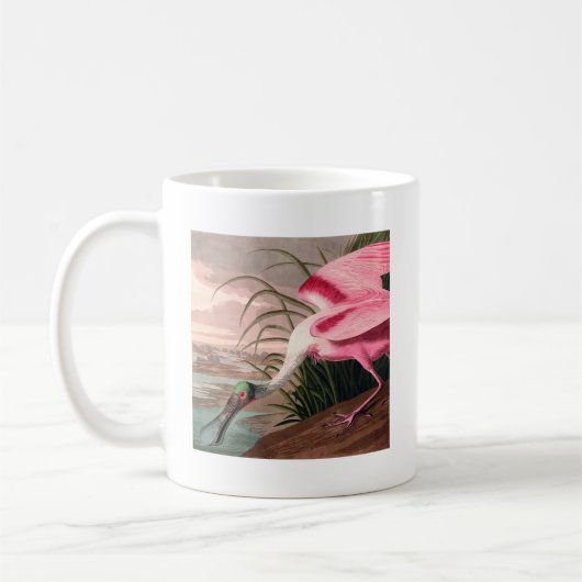 Roseate Spoonbill Audubon Bird Wildlife Koffiemok (Links)
