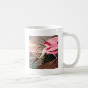 Roseate Spoonbill Audubon Bird Wildlife Koffiemok