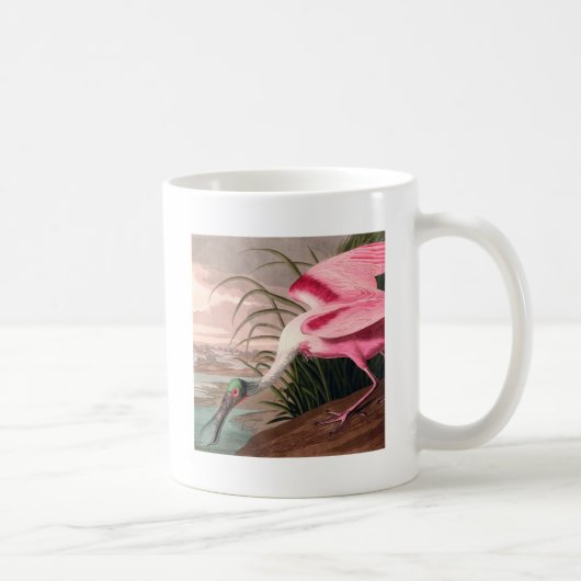 Roseate Spoonbill Audubon Bird Wildlife Koffiemok (Rechts)