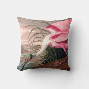 Roseate Spoonbill Audubon Bird Wildlife Kussen