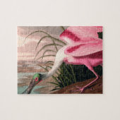 Roseate Spoonbill Audubon Bird Wildlife Legpuzzel (Horizontaal)