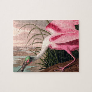Roseate Spoonbill Audubon Bird Wildlife Legpuzzel