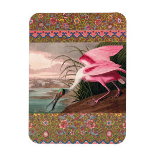 Roseate Spoonbill Audubon Bird Wildlife Magneet