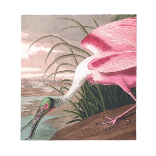 Roseate Spoonbill Audubon Bird Wildlife Notitieblok (Voorkant)