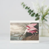 Roseate Spoonbill Audubon Bird Wildlife Painting Briefkaart (Staand voorkant)