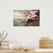 Roseate Spoonbill Audubon Bird Wildlife Painting Poster (Keuken)