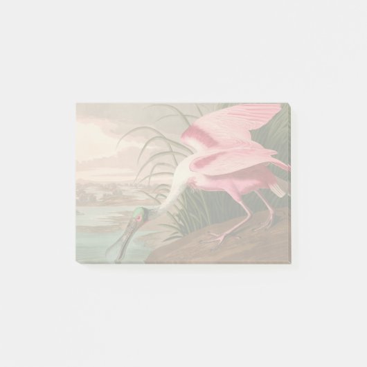 Roseate Spoonbill Audubon Bird Wildlife Post-it® Notes (Voorkant)
