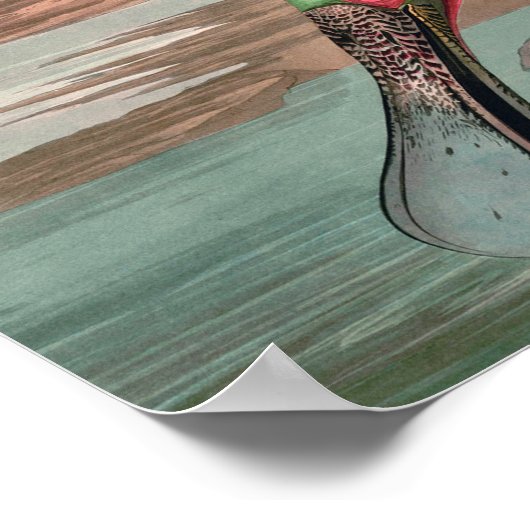 Roseate Spoonbill Audubon Bird Wildlife Poster (Hoek)