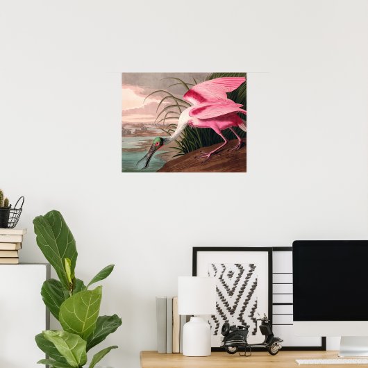 Roseate Spoonbill Audubon Bird Wildlife Poster (Thuiskantoor)