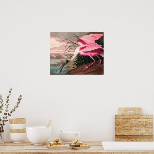 Roseate Spoonbill Audubon Bird Wildlife Poster (Keuken)