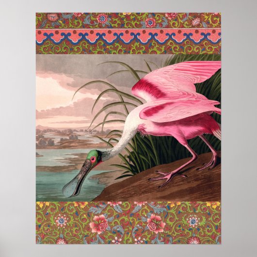 Roseate Spoonbill Audubon Bird Wildlife Poster (Voorkant)